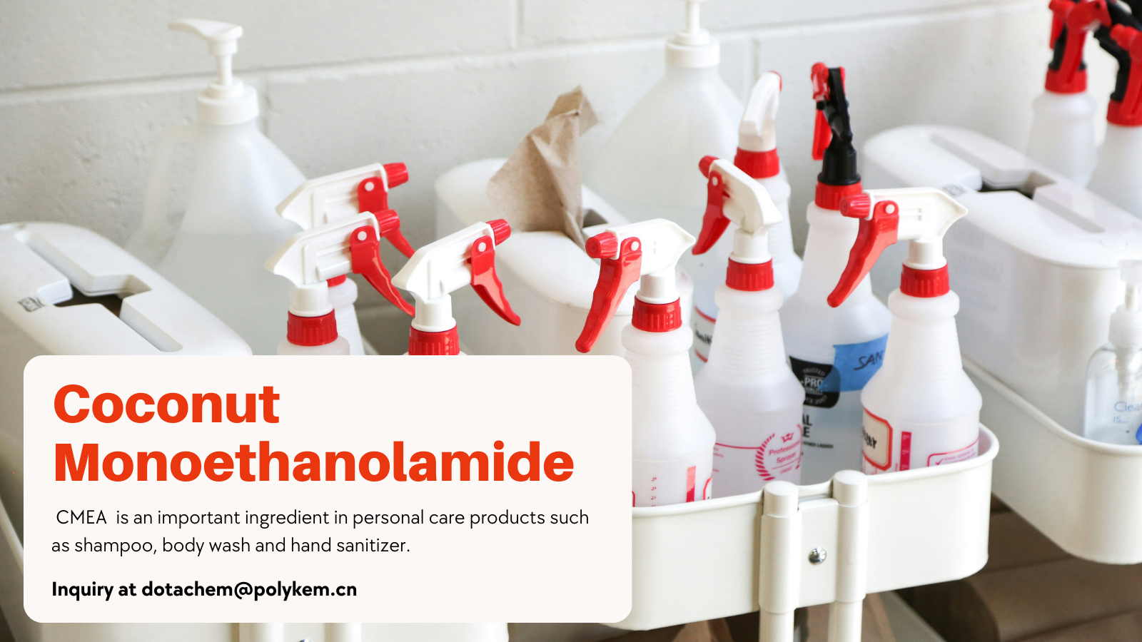 A cosa serve la monoetanolamide del cocco (CMEA)?