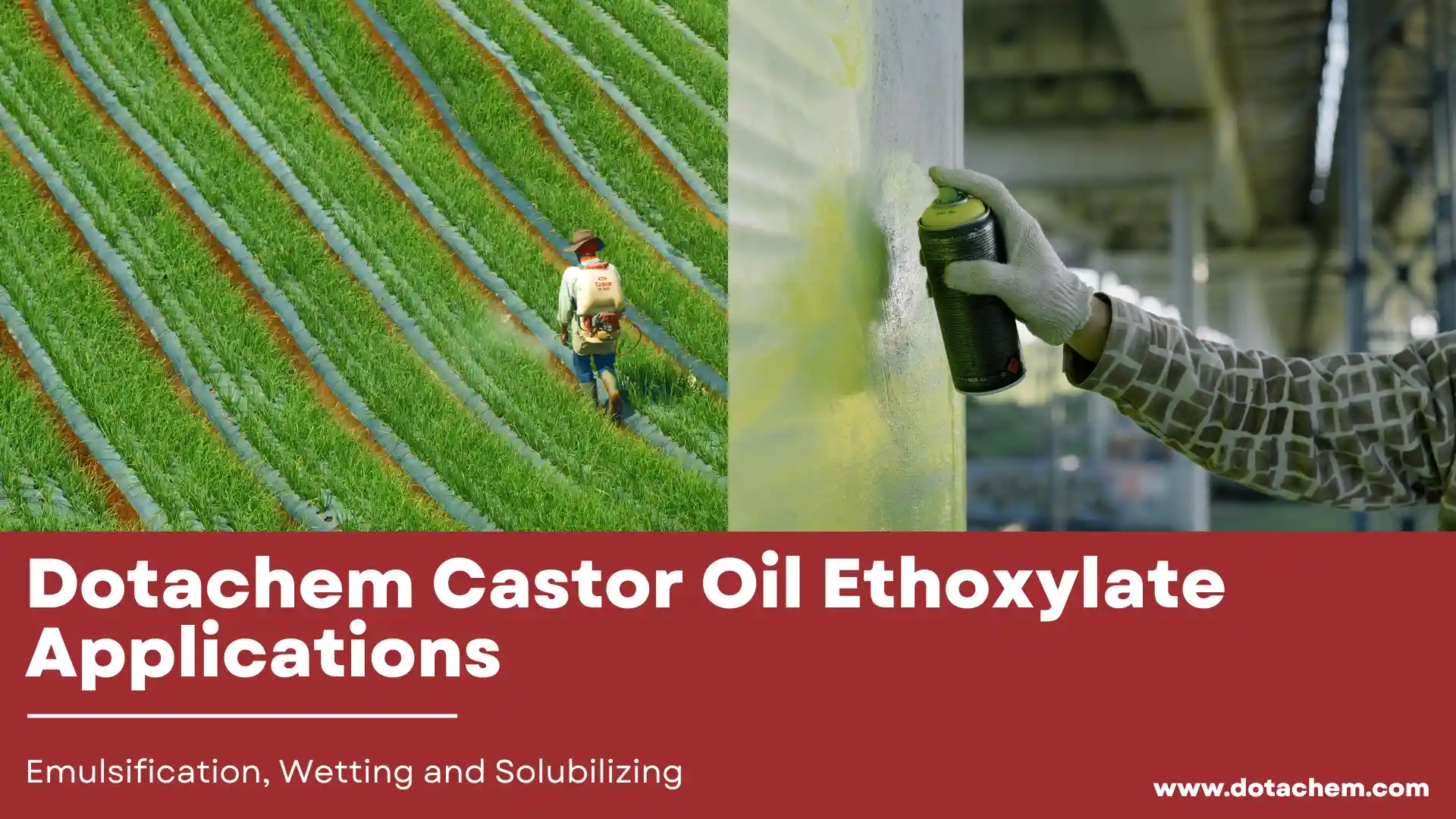 Applicazioni dell'etossilato di olio di ricino Dotachem in emulsione, bagnatura e solubilizzazione
